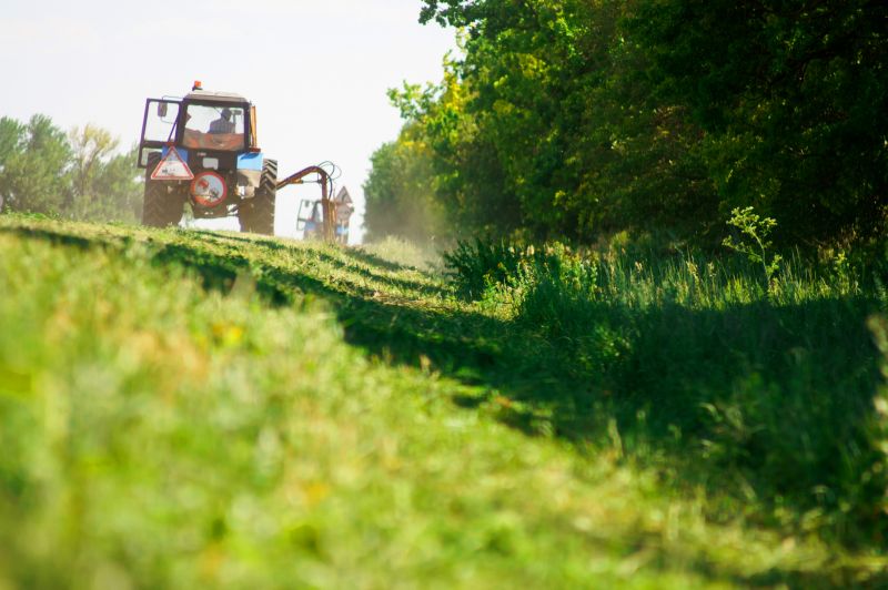 Pasture Clearing in Atlanta, GA
